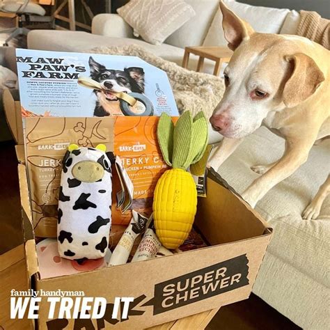 barkbox super chewer toys